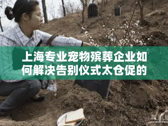 上海专业宠物殡葬企业如何解决告别仪式太仓促的痛点