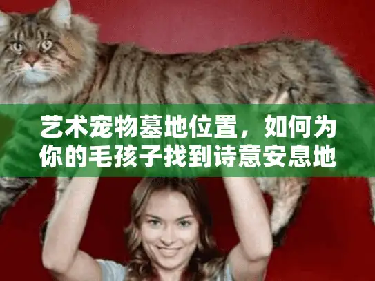 艺术宠物墓地位置，如何为你的毛孩子找到诗意安息地？