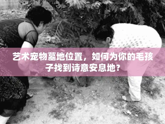 艺术宠物墓地位置，如何为你的毛孩子找到诗意安息地？