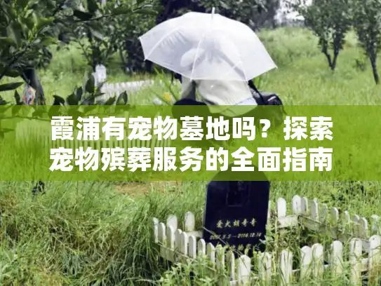 霞浦有宠物墓地吗？探索宠物殡葬服务的全面指南
