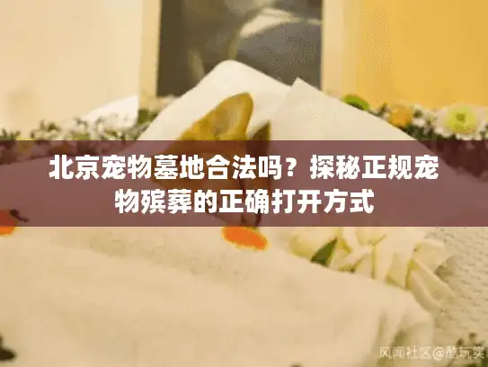 北京宠物墓地合法吗？探秘正规宠物殡葬的正确打开方式