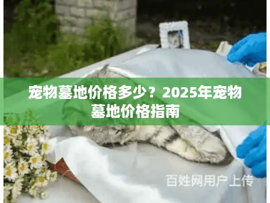 宠物墓地价格多少？2025年宠物墓地价格指南