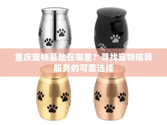 重庆宠物墓地在哪里？寻找宠物殡葬服务的可靠选择