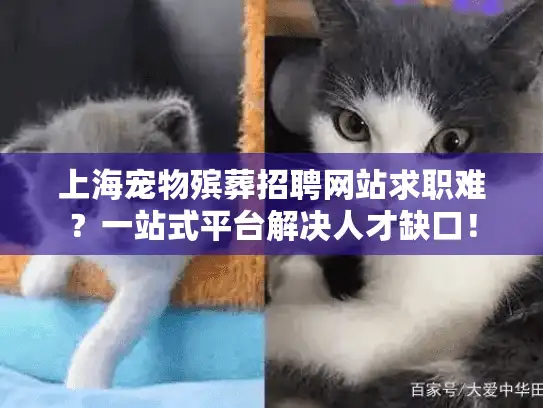 上海宠物殡葬招聘网站求职难？一站式平台解决人才缺口！
