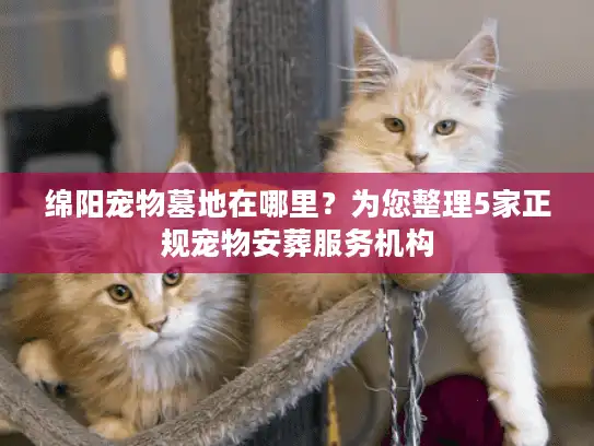 绵阳宠物墓地在哪里？为您整理5家正规宠物安葬服务机构