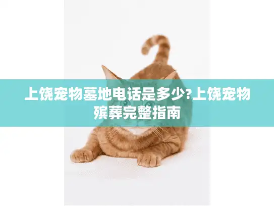 上饶宠物墓地电话是多少?上饶宠物殡葬完整指南