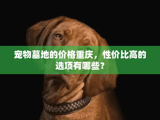 宠物墓地的价格重庆，性价比高的选项有哪些？