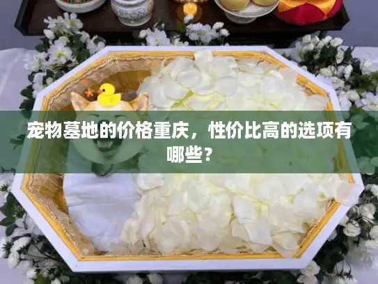 宠物墓地的价格重庆，性价比高的选项有哪些？