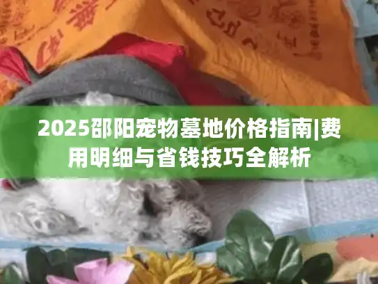 2025邵阳宠物墓地价格指南|费用明细与省钱技巧全解析