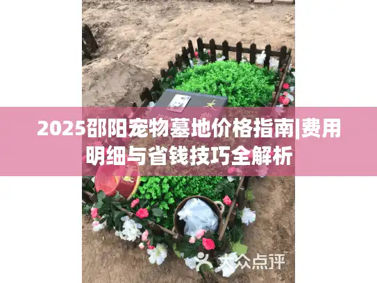 2025邵阳宠物墓地价格指南|费用明细与省钱技巧全解析