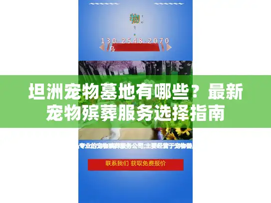 坦洲宠物墓地有哪些？最新宠物殡葬服务选择指南