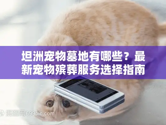 坦洲宠物墓地有哪些？最新宠物殡葬服务选择指南
