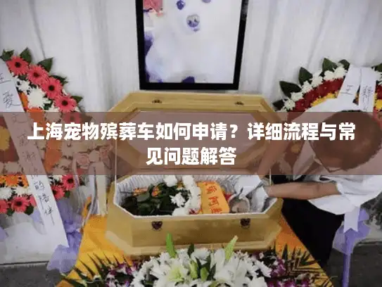 上海宠物殡葬车如何申请？详细流程与常见问题解答