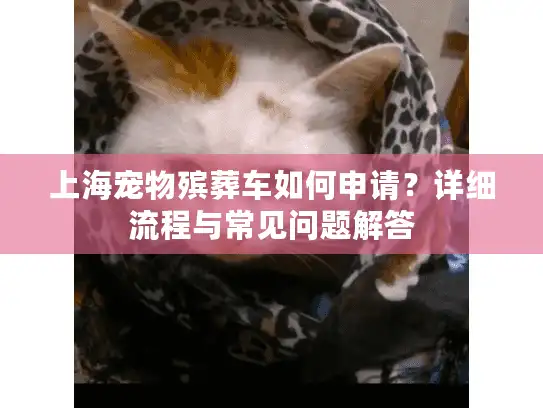 上海宠物殡葬车如何申请？详细流程与常见问题解答