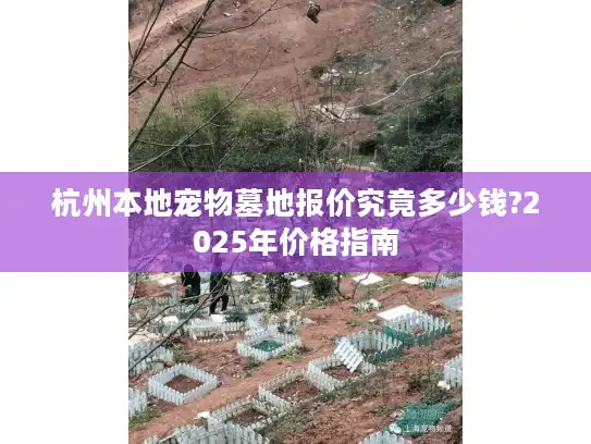 杭州本地宠物墓地报价究竟多少钱?2025年价格指南