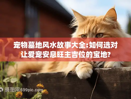 宠物墓地风水故事大全:如何选对让爱宠安息旺主吉位的宝地?