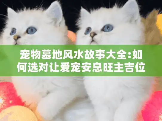 宠物墓地风水故事大全:如何选对让爱宠安息旺主吉位的宝地?