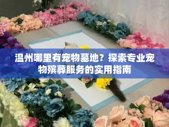 温州哪里有宠物墓地？探索专业宠物殡葬服务的实用指南