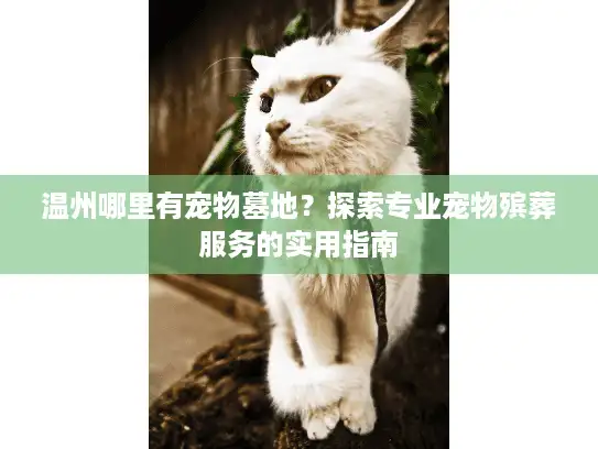 温州哪里有宠物墓地？探索专业宠物殡葬服务的实用指南
