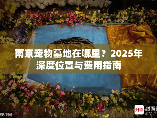 南京宠物墓地在哪里？2025年深度位置与费用指南