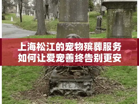 上海松江的宠物殡葬服务如何让爱宠善终告别更安心？