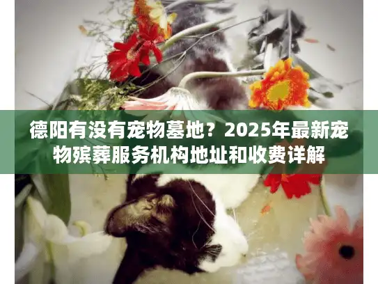 德阳有没有宠物墓地？2025年最新宠物殡葬服务机构地址和收费详解