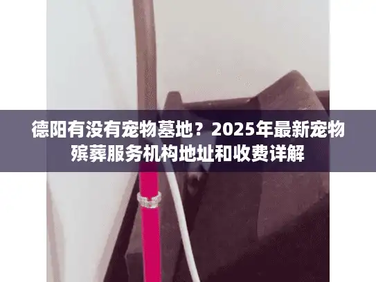 德阳有没有宠物墓地？2025年最新宠物殡葬服务机构地址和收费详解