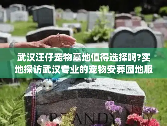 武汉汪仔宠物墓地值得选择吗?实地探访武汉专业的宠物安葬园地服务