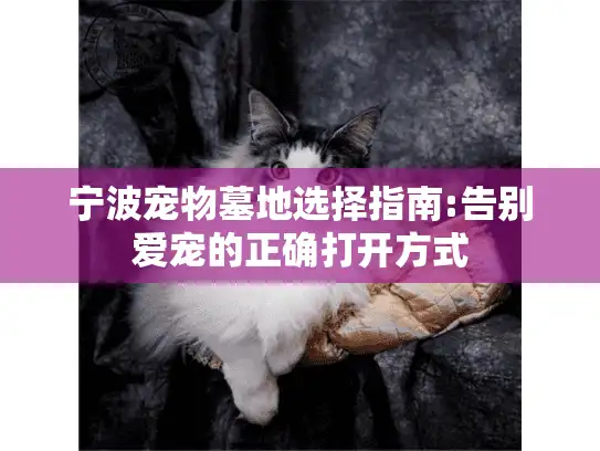 宁波宠物墓地选择指南:告别爱宠的正确打开方式