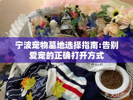 宁波宠物墓地选择指南:告别爱宠的正确打开方式