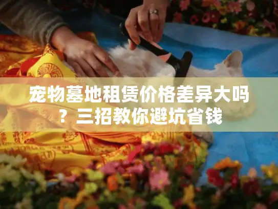 宠物墓地租赁价格差异大吗？三招教你避坑省钱