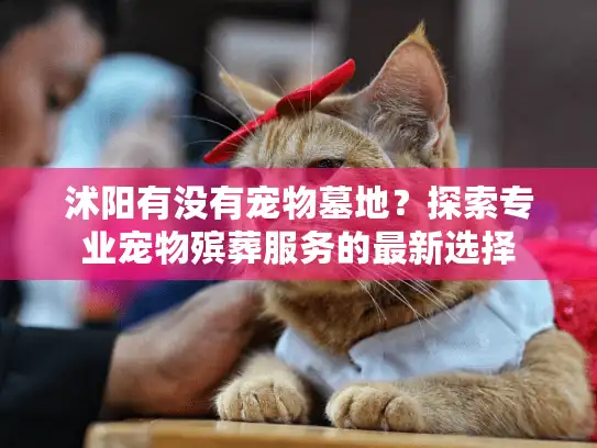 沭阳有没有宠物墓地？探索专业宠物殡葬服务的最新选择