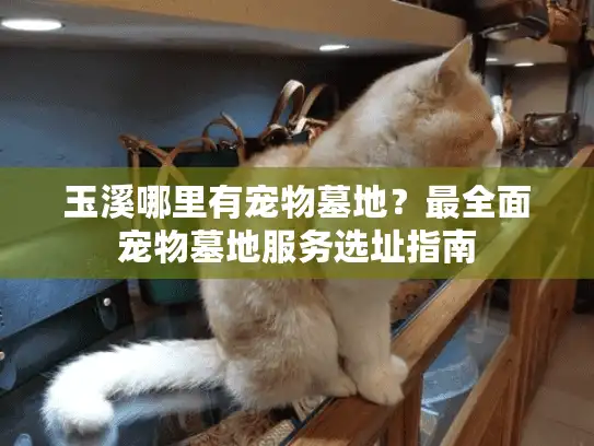 玉溪哪里有宠物墓地？最全面宠物墓地服务选址指南