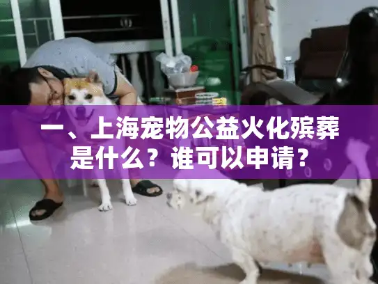 一、上海宠物公益火化殡葬是什么？谁可以申请？