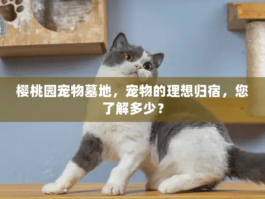 樱桃园宠物墓地，宠物的理想归宿，您了解多少？