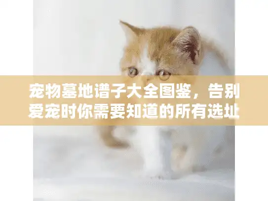 宠物墓地谱子大全图鉴，告别爱宠时你需要知道的所有选址细节