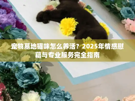 宠物墓地猫咪怎么养活？2025年情感慰藉与专业服务完全指南