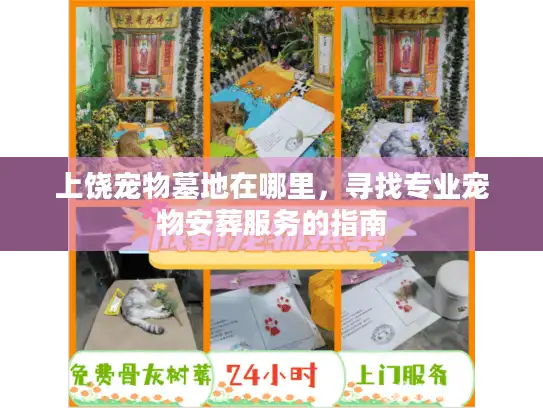 上饶宠物墓地在哪里，寻找专业宠物安葬服务的指南