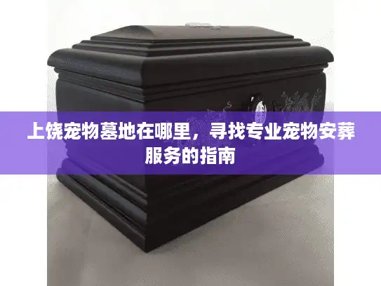 上饶宠物墓地在哪里，寻找专业宠物安葬服务的指南