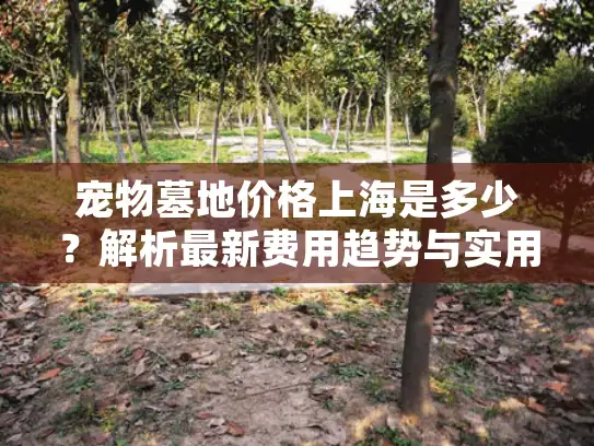 宠物墓地价格上海是多少？解析最新费用趋势与实用选择指南