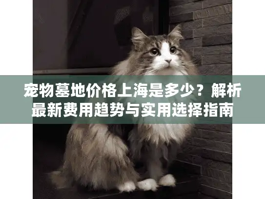 宠物墓地价格上海是多少？解析最新费用趋势与实用选择指南