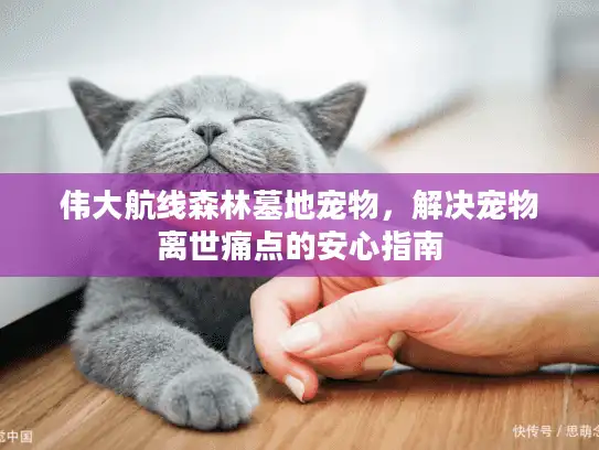 伟大航线森林墓地宠物，解决宠物离世痛点的安心指南