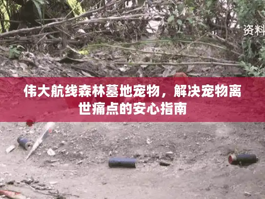 伟大航线森林墓地宠物，解决宠物离世痛点的安心指南