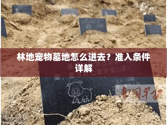 林地宠物墓地怎么进去？准入条件详解