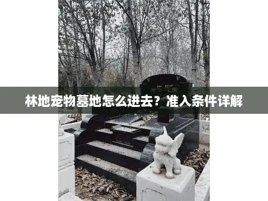 林地宠物墓地怎么进去？准入条件详解