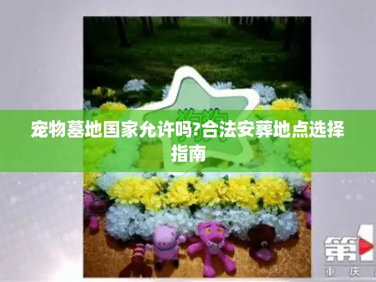 宠物墓地国家允许吗?合法安葬地点选择指南