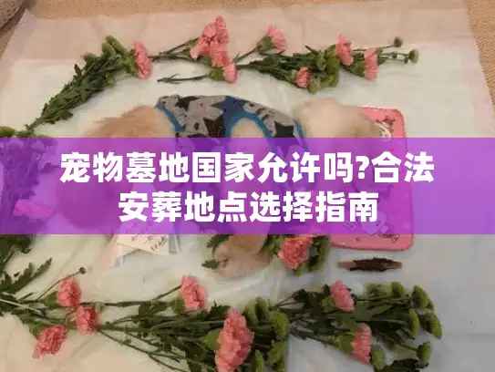 宠物墓地国家允许吗?合法安葬地点选择指南