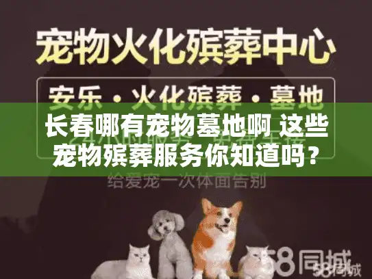 长春哪有宠物墓地啊 这些宠物殡葬服务你知道吗？