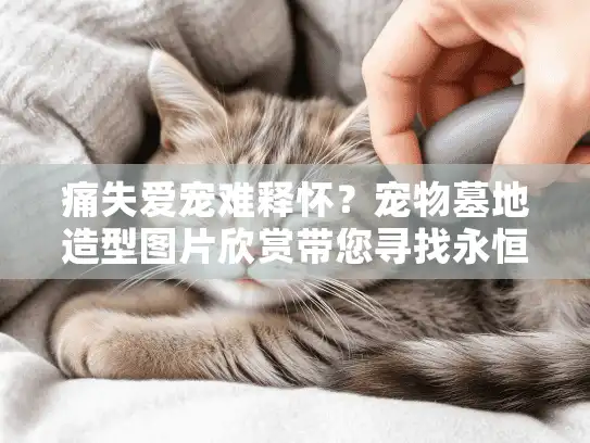 痛失爱宠难释怀？宠物墓地造型图片欣赏带您寻找永恒慰藉