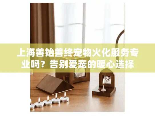 上海善始善终宠物火化服务专业吗？告别爱宠的暖心选择